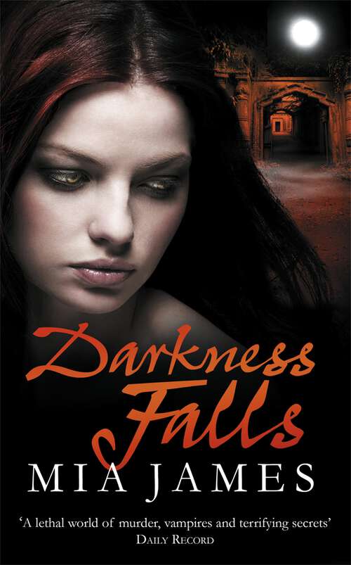 Book cover of Darkness Falls: A Ravenwood Novel