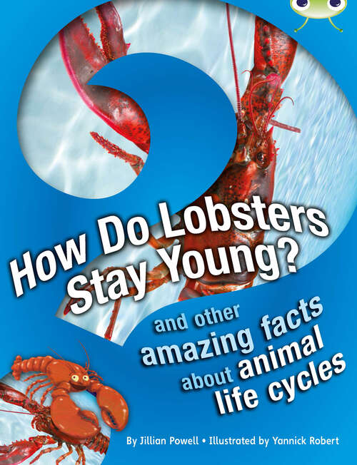 Book cover of Bug Club Independent Non Fiction Year 3 Brown A How Do Lobsters Stay Young? (BUG CLUB)