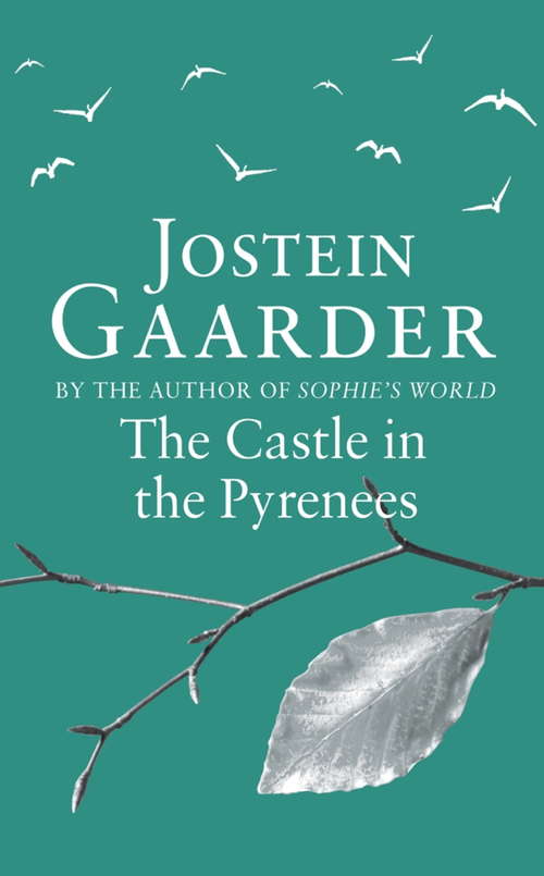 Book cover of The Castle in the Pyrenees