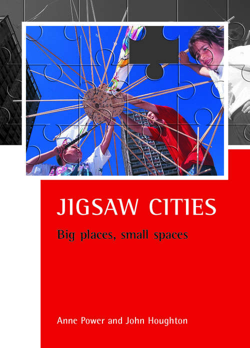 Book cover of Jigsaw cities: Big places, small spaces (CASE Studies on Poverty, Place and Policy)