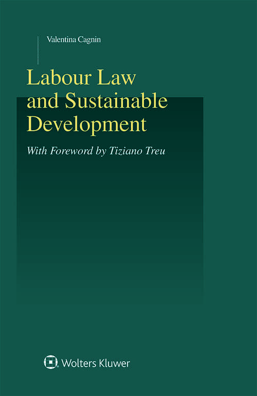 Book cover of Labour Law and Sustainable Development