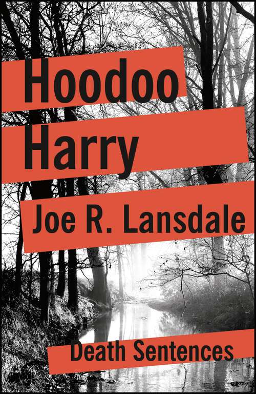 Book cover of Hoodoo Harry (Death Sentences: Short Stories to Die For #33)