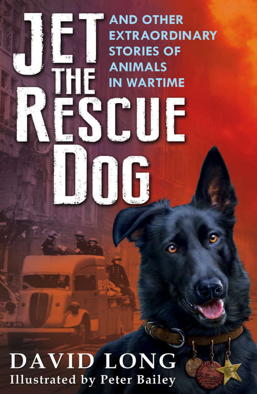 Book cover of Jet the Rescue Dog: ... and other extraordinary stories of animals in wartime (Main)