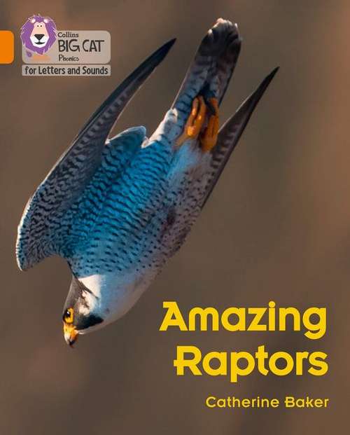 Book cover of Amazing Raptors: Band 06/orange (PDF) (Collins Big Cat Phonics For Letters And Sounds Ser.)