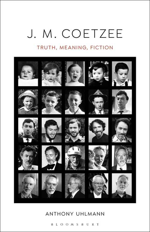 Book cover of J. M. Coetzee: Truth, Meaning, Fiction