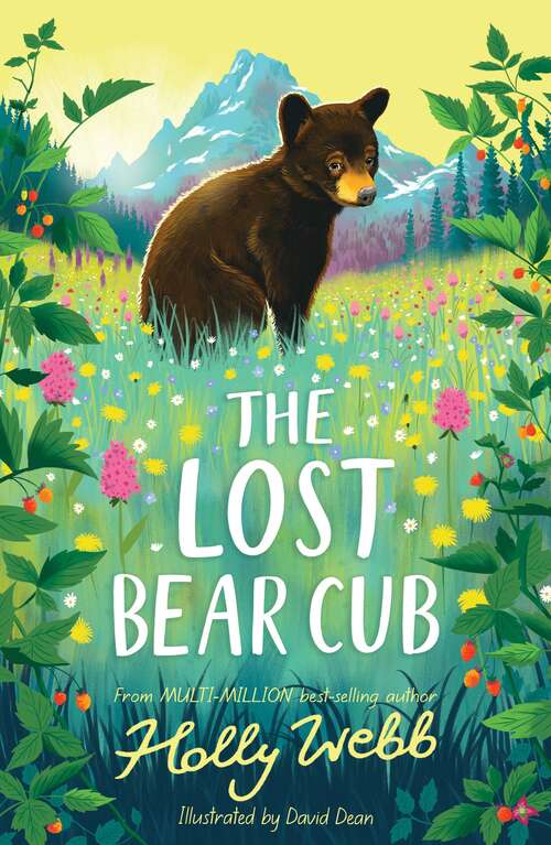 Book cover of The Lost Bear Cub