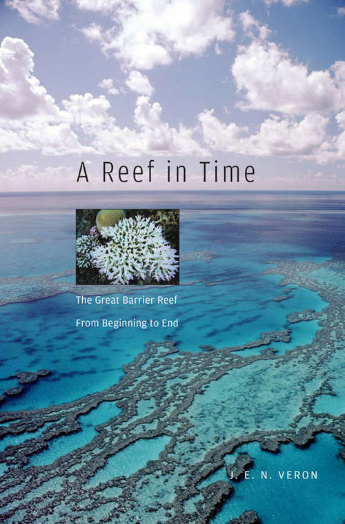Book cover of A Reef in Time: The Great Barrier Reef from Beginning to End