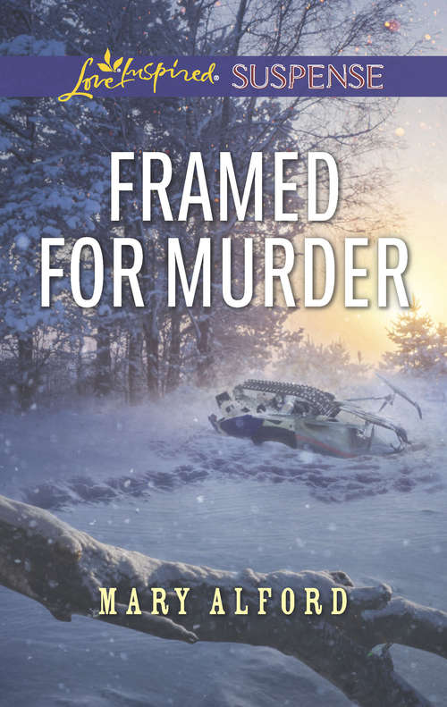 Book cover of Framed For Murder: Christmas Amnesia Thanksgiving Protector Framed For Murder (ePub edition) (Mills And Boon Love Inspired Suspense Ser.)