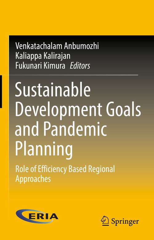 Book cover of Sustainable Development Goals and Pandemic Planning: Role of Efficiency Based Regional Approaches (1st ed. 2022)