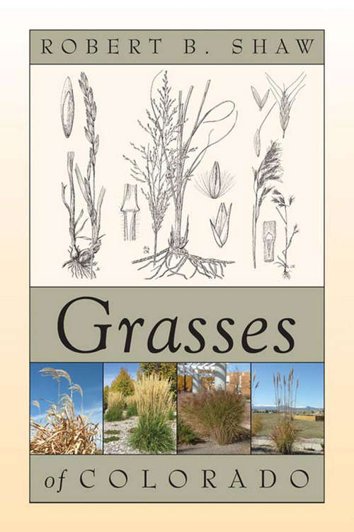 Book cover of Grasses of Colorado