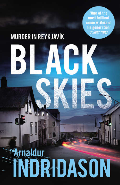 Book cover of Black Skies