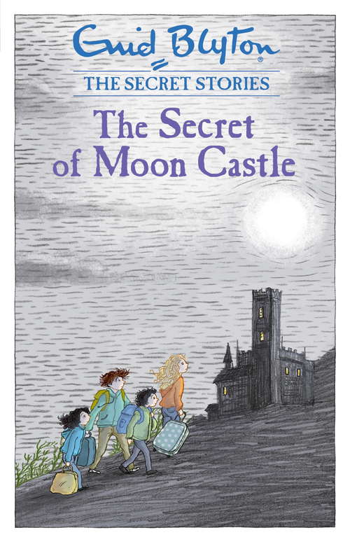 Book cover of The Secret of Moon Castle: The Secret Of Moon Castle (Secret Stories)