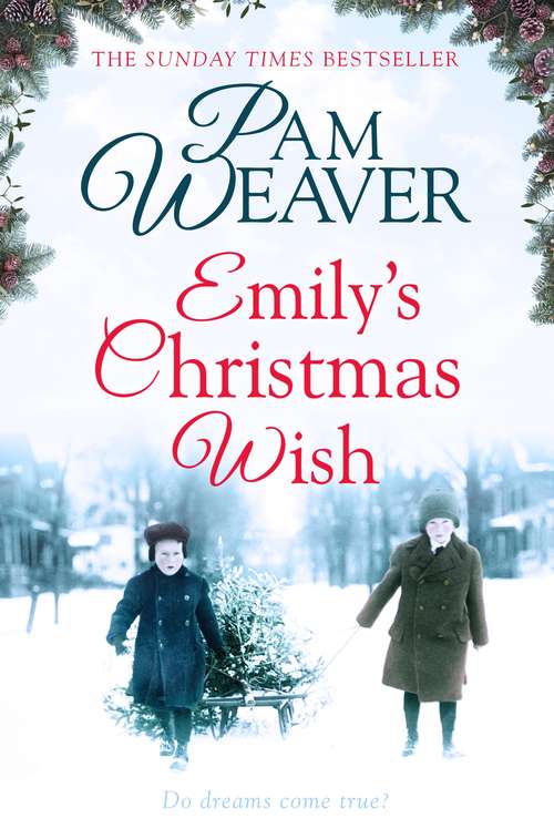 Book cover of Emily's Christmas Wish