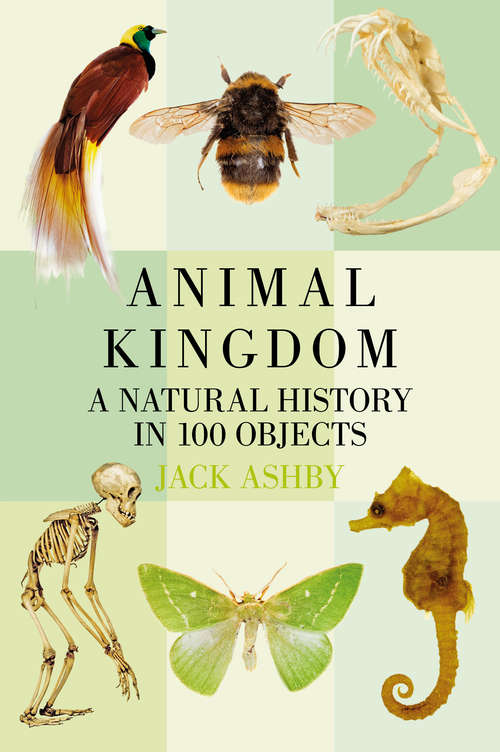 Book cover of Animal Kingdom: A Natural History in 100 Objects