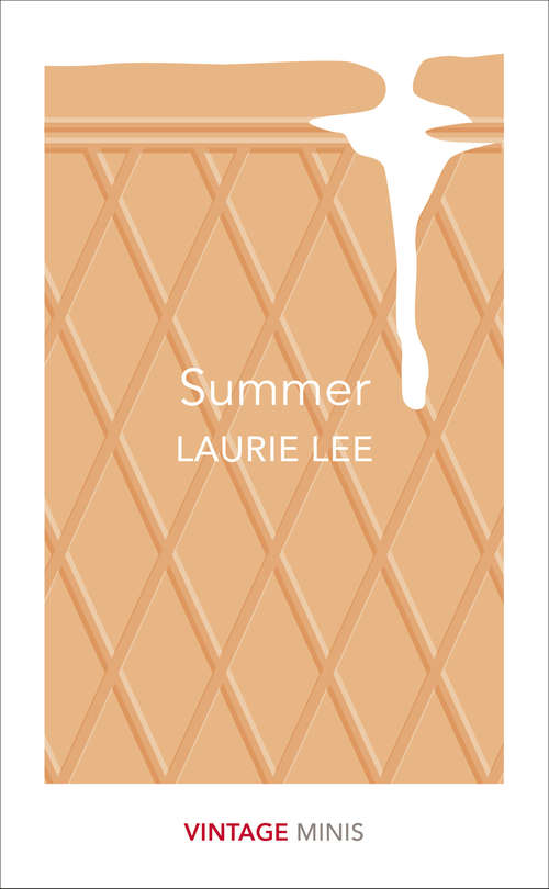 Book cover of Summer: Vintage Minis (Vintage Minis)