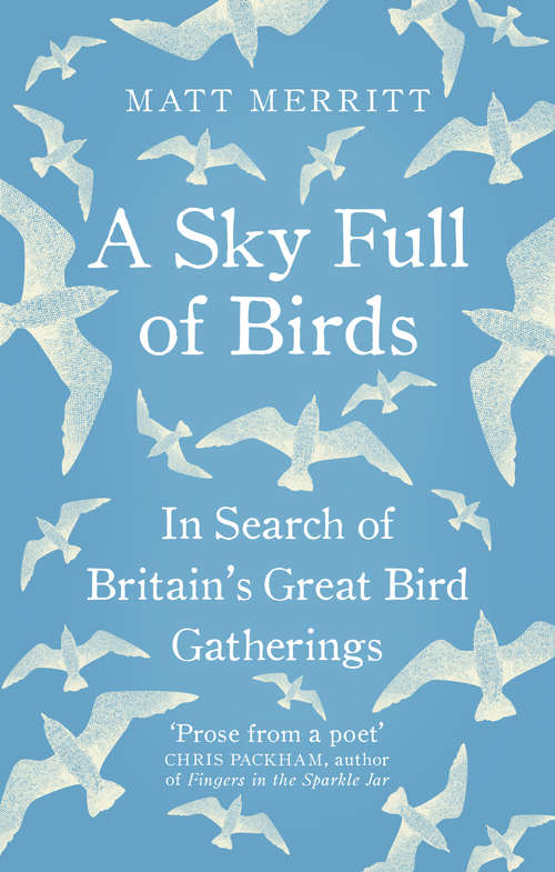 Book cover of A Sky Full of Birds (Exclud Can)