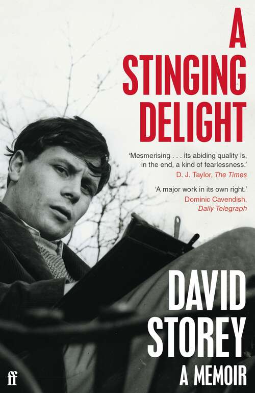 Book cover of A Stinging Delight: A Memoir (Main)