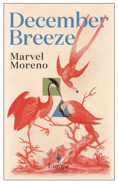 Book cover of December Breeze: A masterful novel on womanhood in Colombia