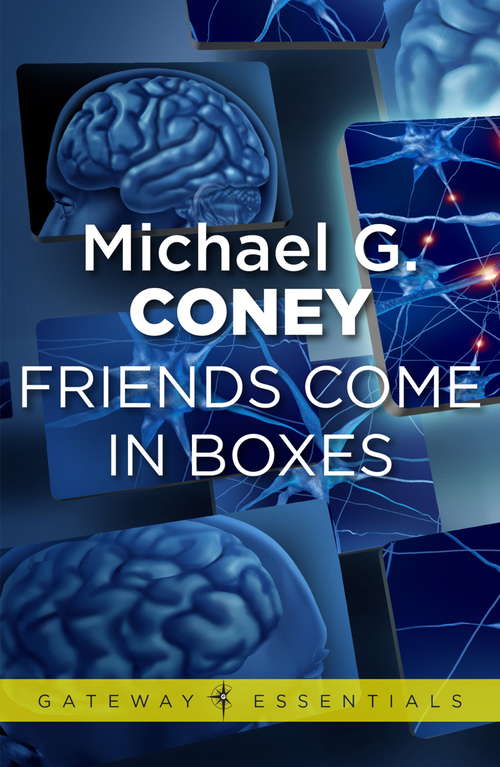 Book cover of Friends Come in Boxes (Gateway Essentials)