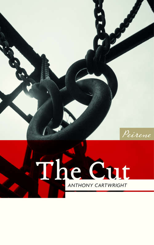 Book cover of The Cut (Peirene Now!)