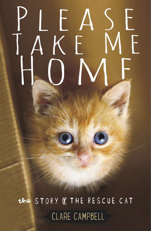 Book cover of Please Take Me Home: The Story of the Rescue Cat