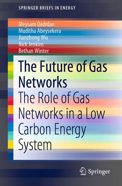 Book cover of The Future of Gas Networks: The Role of Gas Networks in a Low Carbon Energy System (1st ed. 2020) (SpringerBriefs in Energy)