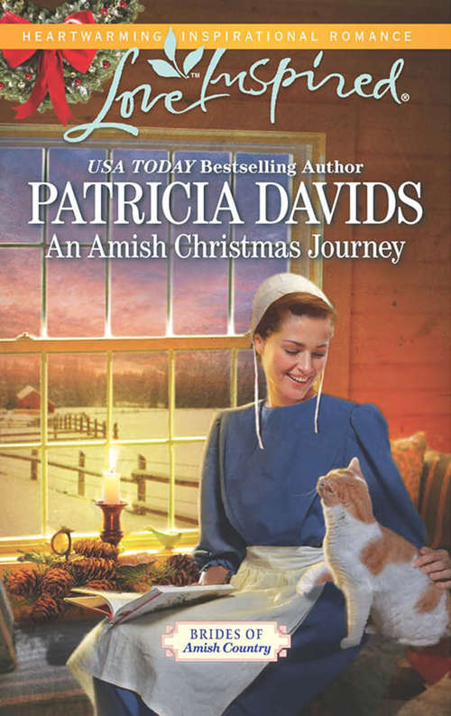 Book cover of An Amish Christmas Journey (ePub First edition) (Brides of Amish Country #13)