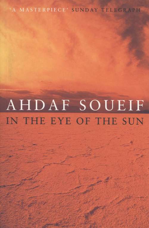 Book cover of In the Eye of the Sun