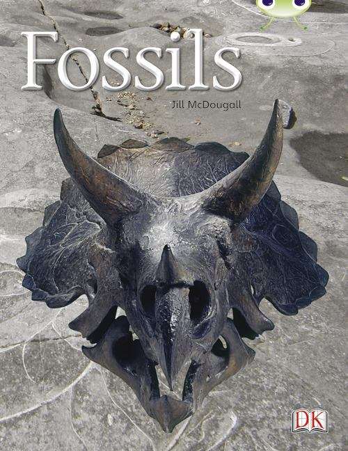 Book cover of Bug Club, Gold A: Fossils (PDF)