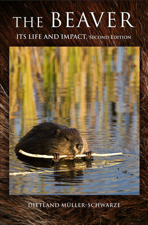 Book cover of The Beaver: Natural History of a Wetlands Engineer