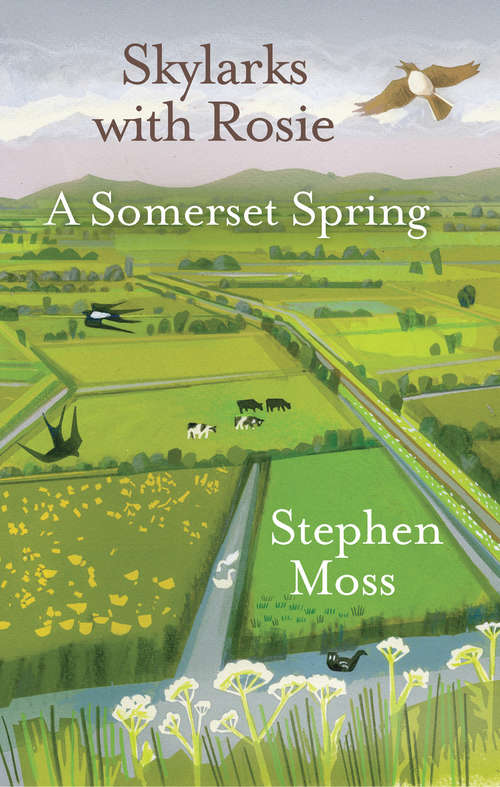Book cover of Skylarks with Rosie: A Somerset Spring