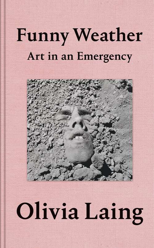 Book cover of Funny Weather: Art in an Emergency