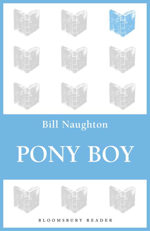 Book cover of Pony Boy