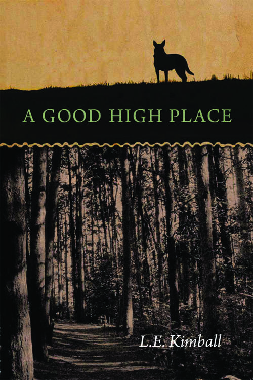 Book cover of A Good High Place (Switchgrass Books)