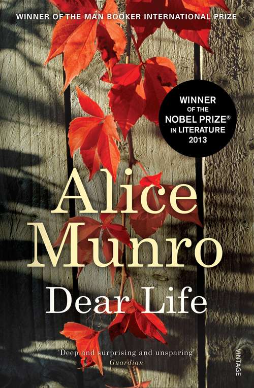 Book cover of Dear Life: Stories (Vintage International Ser.)