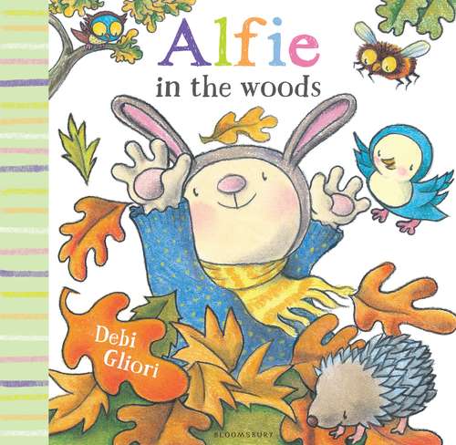 Book cover of Alfie in the Woods