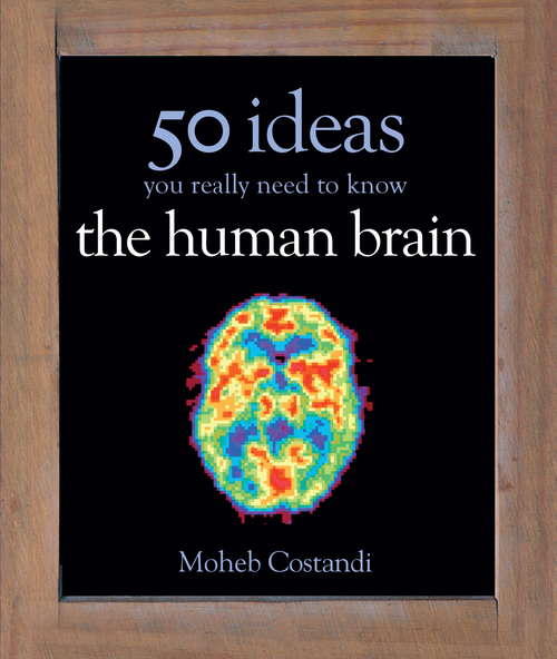 Book cover of 50 Human Brain Ideas You Really Need to Know (50 Ideas You Really Need to Know series)