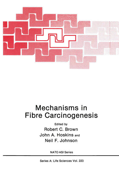 Book cover of Mechanisms in Fibre Carcinogenesis (1991) (Nato Science Series A: #223)