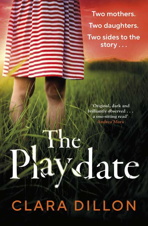 Book cover of The Playdate: A startling and deliciously pitch-dark story from leafy suburbia