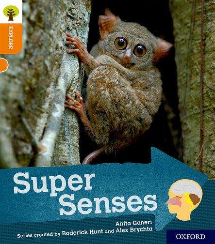 Book cover of Explore with Biff, Chip and Kipper, Level 6: Super Senses (PDF)