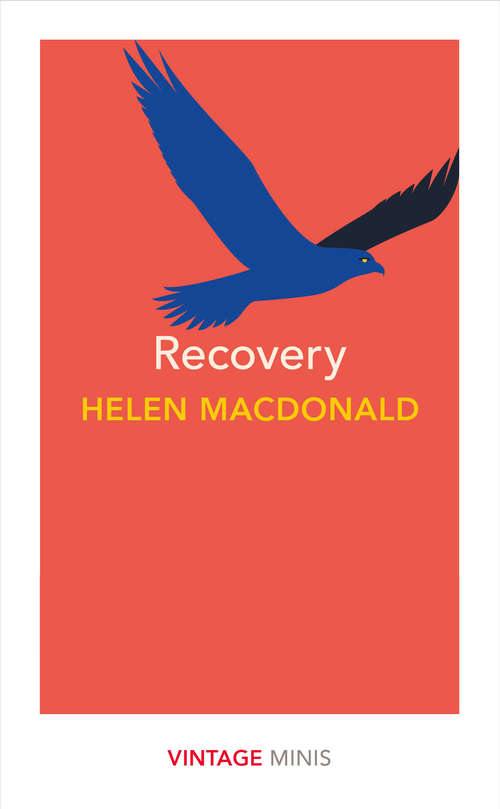 Book cover of Recovery: Vintage Minis (Vintage Minis)