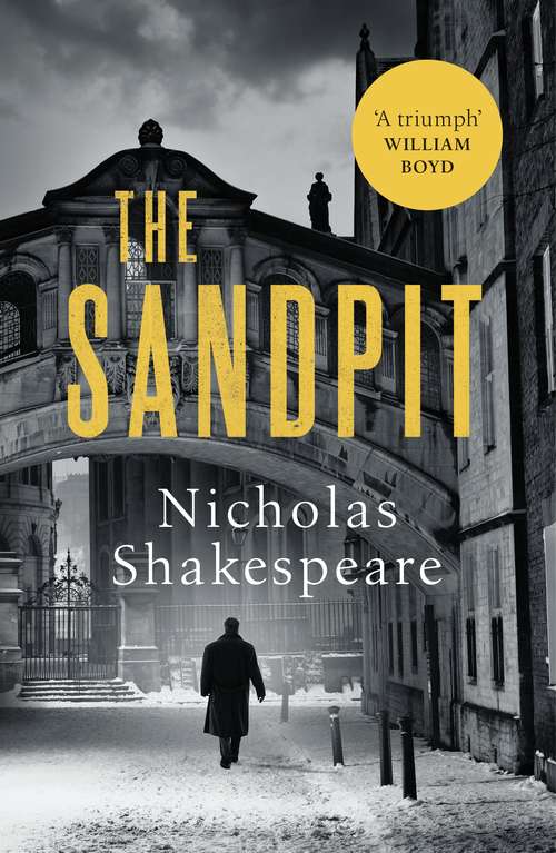 Book cover of The Sandpit