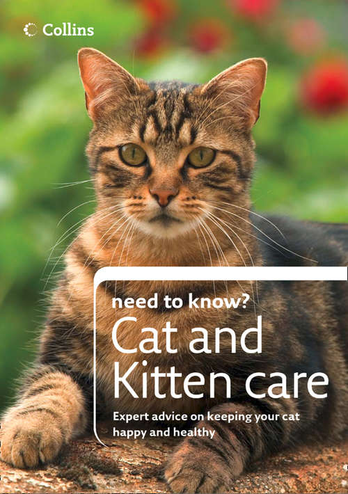 Book cover of Cat and Kitten Care (ePub edition) (Collins Need to Know?)