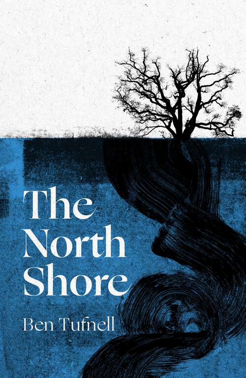 Book cover of The North Shore: a stunning gothic debut