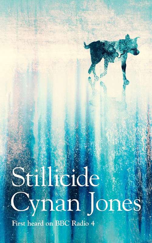 Book cover of Stillicide (PDF)