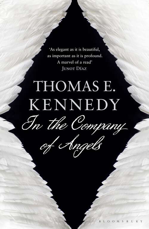 Book cover of In the Company of Angels: A Novel (Copenhagen Quartet Ser.)