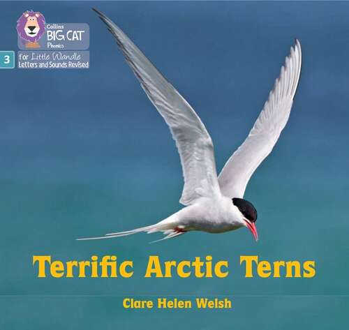 Book cover of Terrific Arctic Terns: Phase 3 Set 2 (PDF): Phase 3 Set 2 (Big Cat Phonics For Little Wandle Letters And Sounds Revised Ser.)
