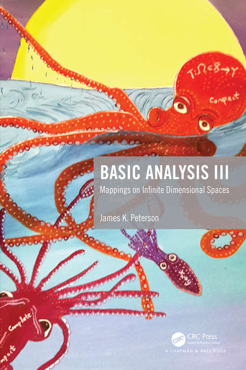 Book cover of Basic Analysis III: Mappings on Infinite Dimensional Spaces