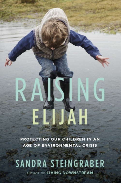 Book cover of Raising Elijah: Protecting Our Children in an Age of Environmental Crisis (A Merloyd Lawrence Book)