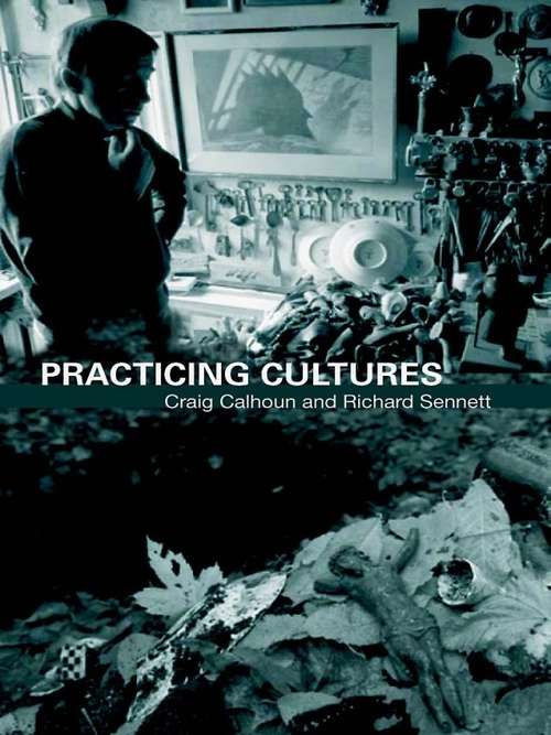 Book cover of Practicing Culture (Taking Culture Seriously)